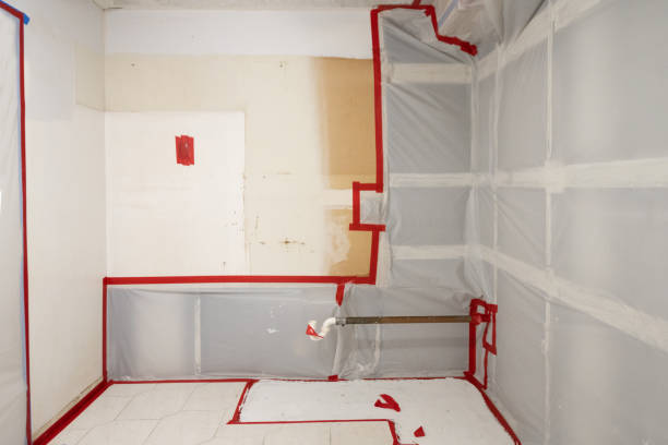 Best Real Estate Mold Inspection  in Lake Park, FL
