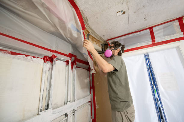 Best Biohazard Mold Removal  in Lake Park, FL